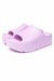 Pair of purple sandals on a white background