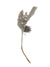 Sinsay Silver Ornamental Plant | Sinsay In Lebanon