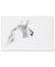 Empire Art Direct 'Blanco Mare Horse' Frameless Free Floating Tempered Glass Panel Graphic Wall Art 130x90cm | Empire Art Direct In Lebanon