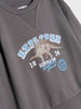 Sinsay Boy's Grey Printed Sweatshirt | Sinsay In Lebanon