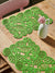 Sinsay Green Table Mats 2 Pack | Sinsay In Lebanon