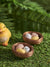 Sinsay Multicolor Pack Of 4 Birds Nests | Sinsay In Lebanon