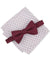 Alfani Men's Burgundy Ozark Stripe Bow Tie & Dot Pocket Square Set | Alfani In Lebanon