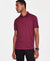 Alfani Men's Plum Regular-Fit Mercerized Polo T-Shirt|Alfani In Lebanon