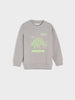 Gray sweatshirt with green dinosaur graphic and text on a white background