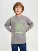Child wearing a gray sweatshirt with a green dinosaur graphic and text on a white background