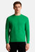 Man wearing a green sweater on a white background