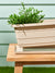 Sinsay Beige Garden Accessories | Sinsay In Lebanon