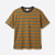 Zara Boy's Brown & Green Striped T-Shirts | Zara In Lebanon