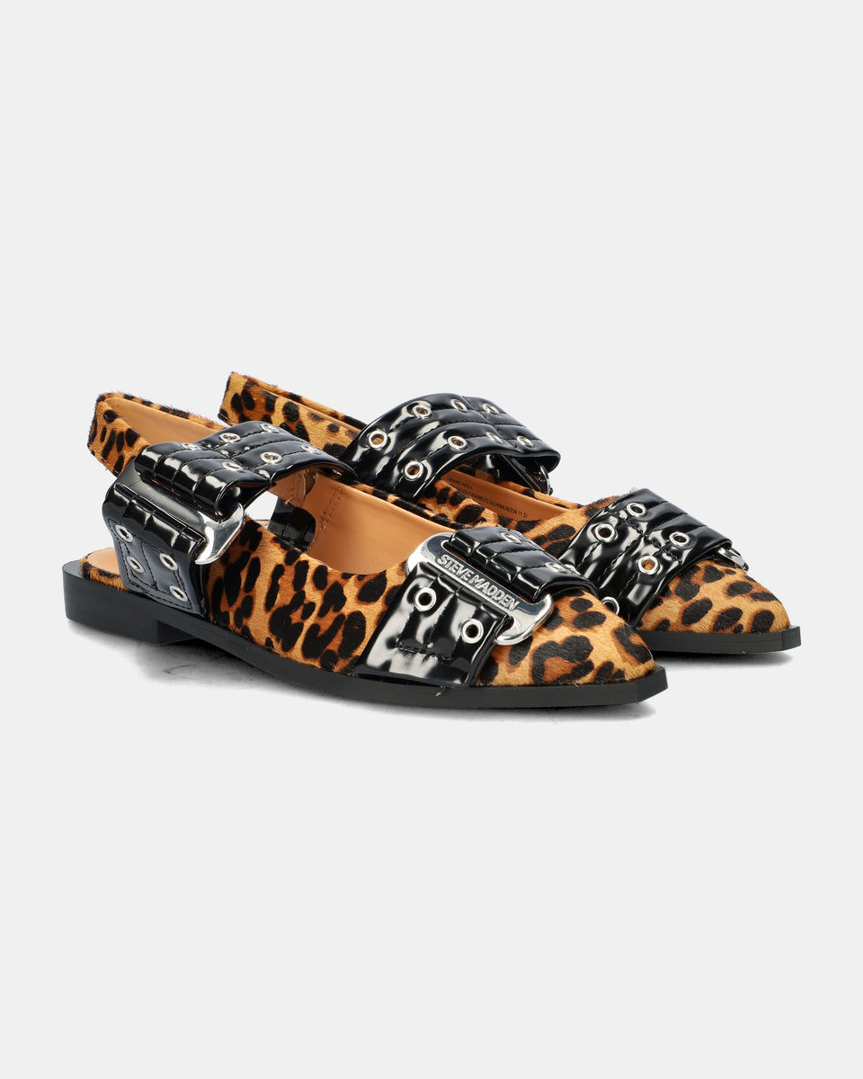 Steve Madden Women's Animal Printed Leather Grand Ave-L Flat | Steve Madden In Lebanon