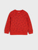 Sinsay Boy's Multi Color 2 Pack Long Sleeve Sweatshirt | Sinsay In Lebanon