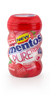 Mentos Pure Fresh Gum 50 Pieces