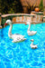 Poolmaster Floating Swimming Pool Backyard Décor|Poolmaster In Lebanon