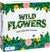 Wild Flowers Family Fun Strategy Game|Wild Flowers In Lebanon