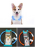 Zoo Royal Dog Leash Collar Led Light