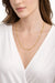 Kenra Scott Women's Gold Colin 18k Gold Vermeil Chain Necklace | Kenra Scott In Lebanon
