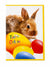 SD 1PC Happy Easter Bunny Greeting Cards | SD in Lebanon