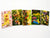 SD Easter 5pc Decorative Greeting Card | SD in Lebanon