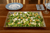 Lucky Tiger Stainless Steel Tray (AM-7114C)