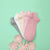 Four pairs of low-cut ankle socks in gray, white, cream, and light pink, arranged in a fan shape on a mint green background with decorative paper flowers at the bottom.