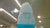 Tanmia Whole Chicken Froze 1.20kg | Tanmia In Lebanon