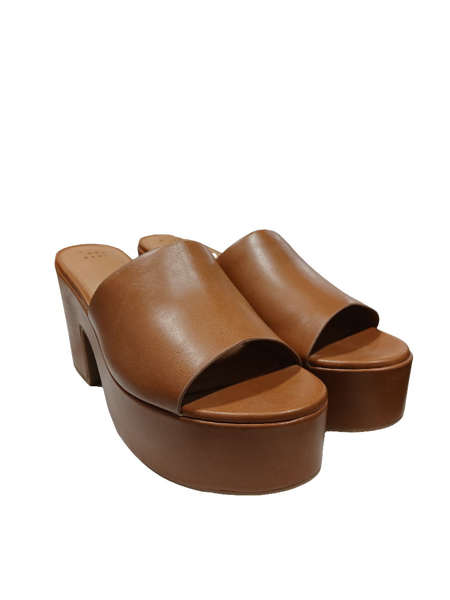Pair of brown platform sandals on a white background
