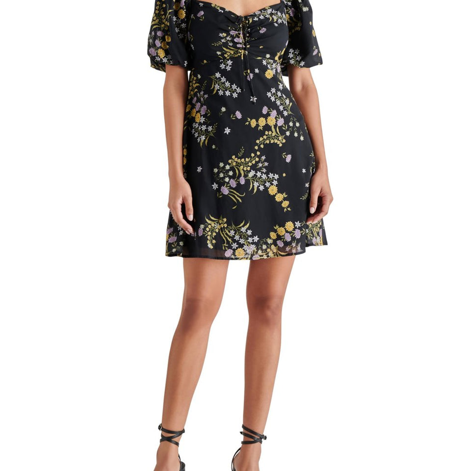 Steve Madden Women's Black Violeta Dress
