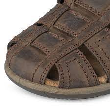 Salamander Men's Sandals -Brown  31-84005-14 SE312 shr