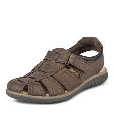 Salamander Men's Sandals -Brown  31-84005-14 SE312 shr