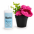 Frado Trend "Moritz" Candle | Frado Trend In Lebanon