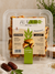 Aufour Bakery Date Fingers 250g