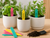 Sinsay Gardening Pack Of 10pcs Reusable Pot Markers | Sinsay In Lebanon