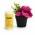 Frado Trend "Louis" Candle | Frado Trend In Lebanon