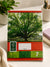 FSC Certified DIN A5 Primary School Exercise Notebook 16 pages|FSC In Lebanon