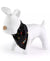 Family Pajamas Matching Pet New Years Bandana Cheers Deep Black |Family Pajamas In Lebanon