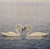 Duni 2 X Swans Couple Single Paper Napkins|Duni In Lebanon