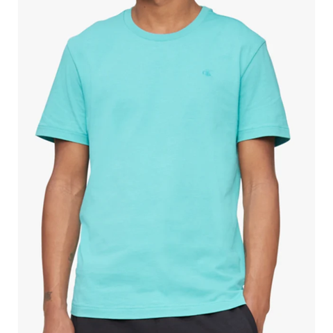 Calvin Klein Men's Aqua T-Shirt ABF457(od36)
