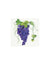 Duni Bunch of Red Grapes Napkins|Duni In Lebanon