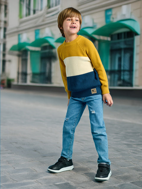 Sinsay Boy's Multicolor Knitted Long Sleeve Sweater|Sinsay In Lebanon