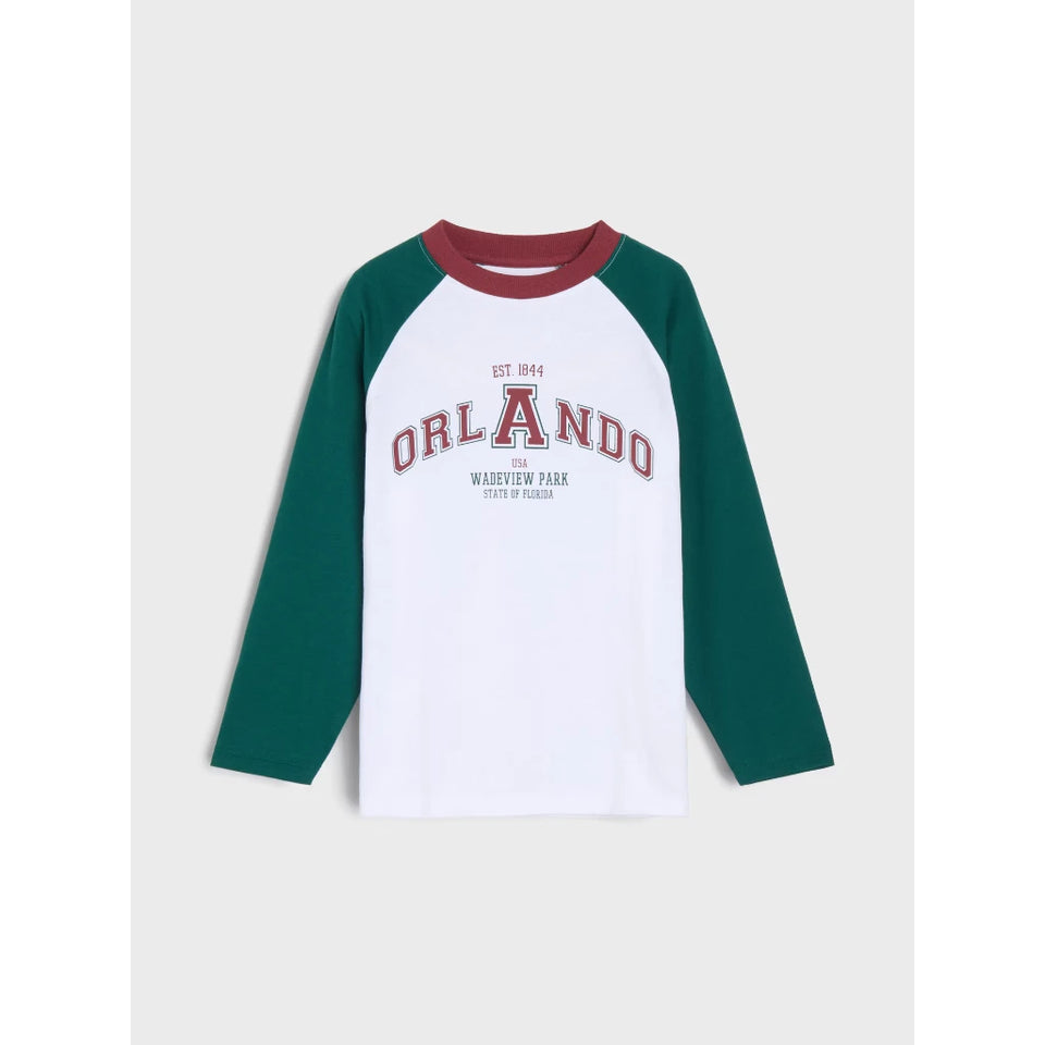 Sinsay Boy's Multicolor Orlando Wadeview ParkPrinted Blouse