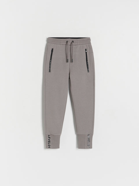 Gray jogger pants with zippers on a white background