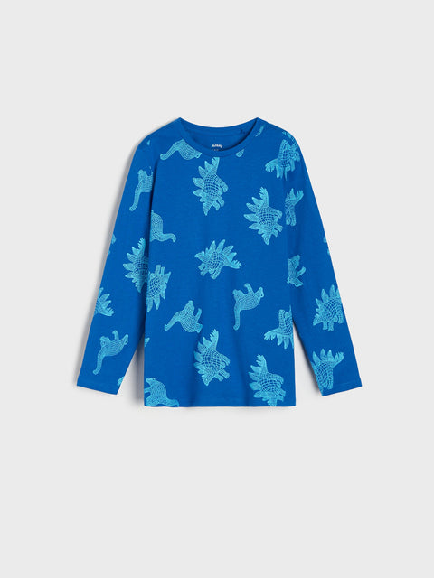 Sinsay Boy's Blue Regular Long-sleeved with Print Blouse | Sinsay in Lebanon