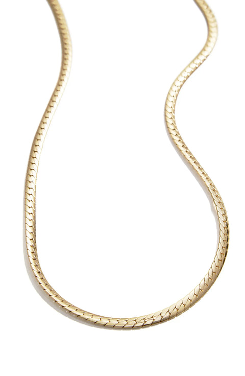 BaubleBar Women's Gold Snake Chain Necklace|BaubleBar Scott In Lebanon