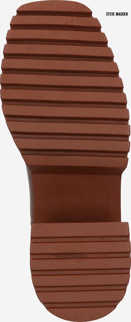 Steve Madden Women's Brown Parkway Ankle Boots |Steve Madden in Lebanon