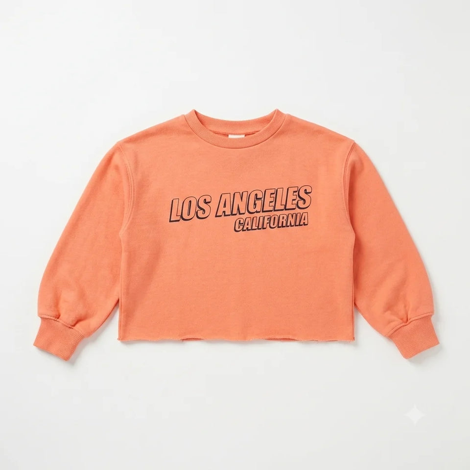 Zara Girl's Light Orange Graphic Top | Zara In Lebanon