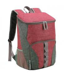 Cooler Women's Grey/Pink Backpack| Cooler in Lebanon