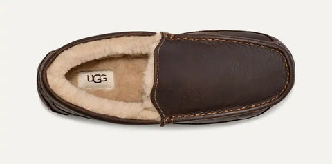 UGG Men's Dark Brown Ascot Matte Leather Casual Shoes | UGG In Lebanon