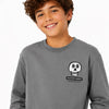 Zara Boy's Grey Chest Printed Crewneck Blouse | Zara In Lebanon