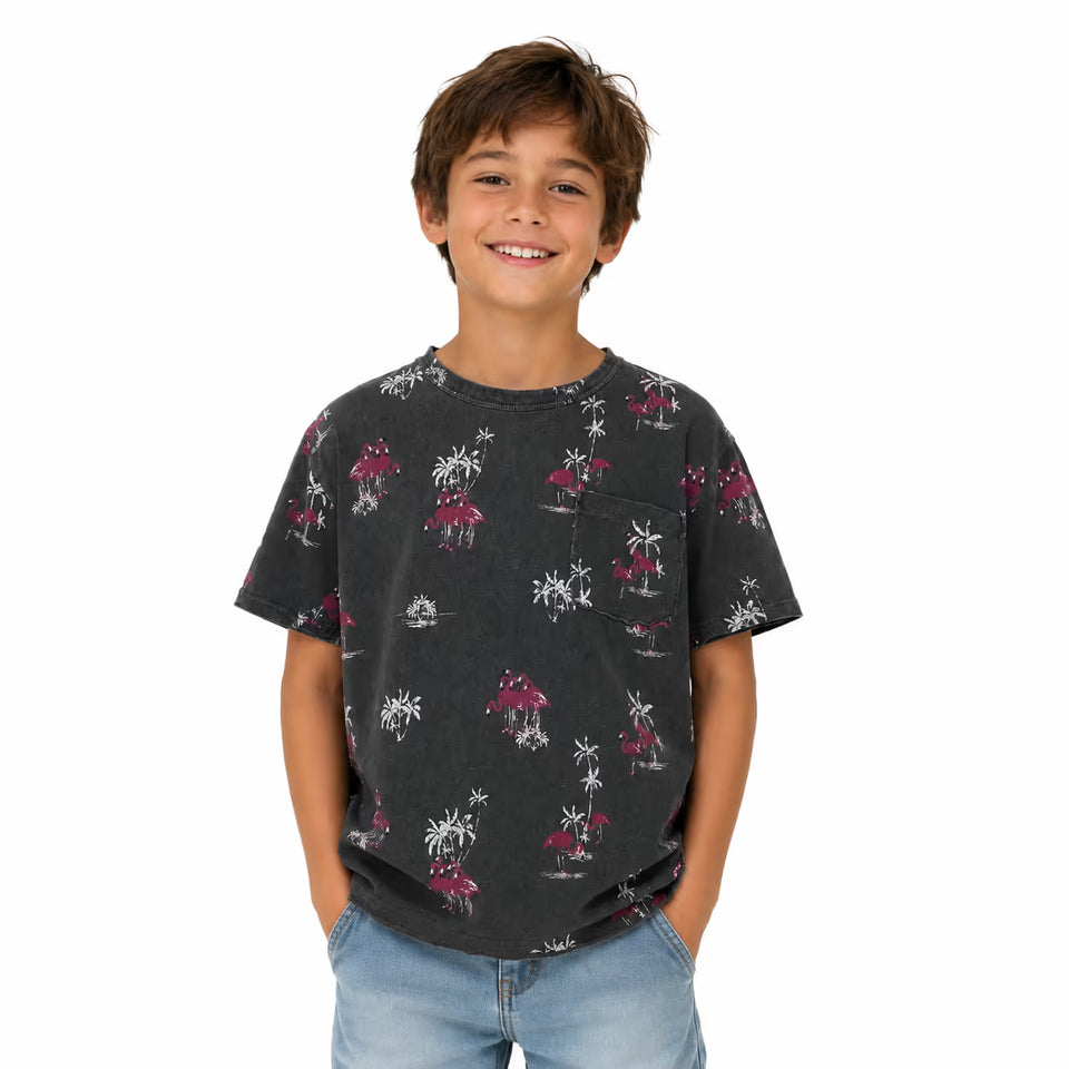 Zara Boy's Washed Grey Flamingo Printed T-Shirt| Zara in Lebanon