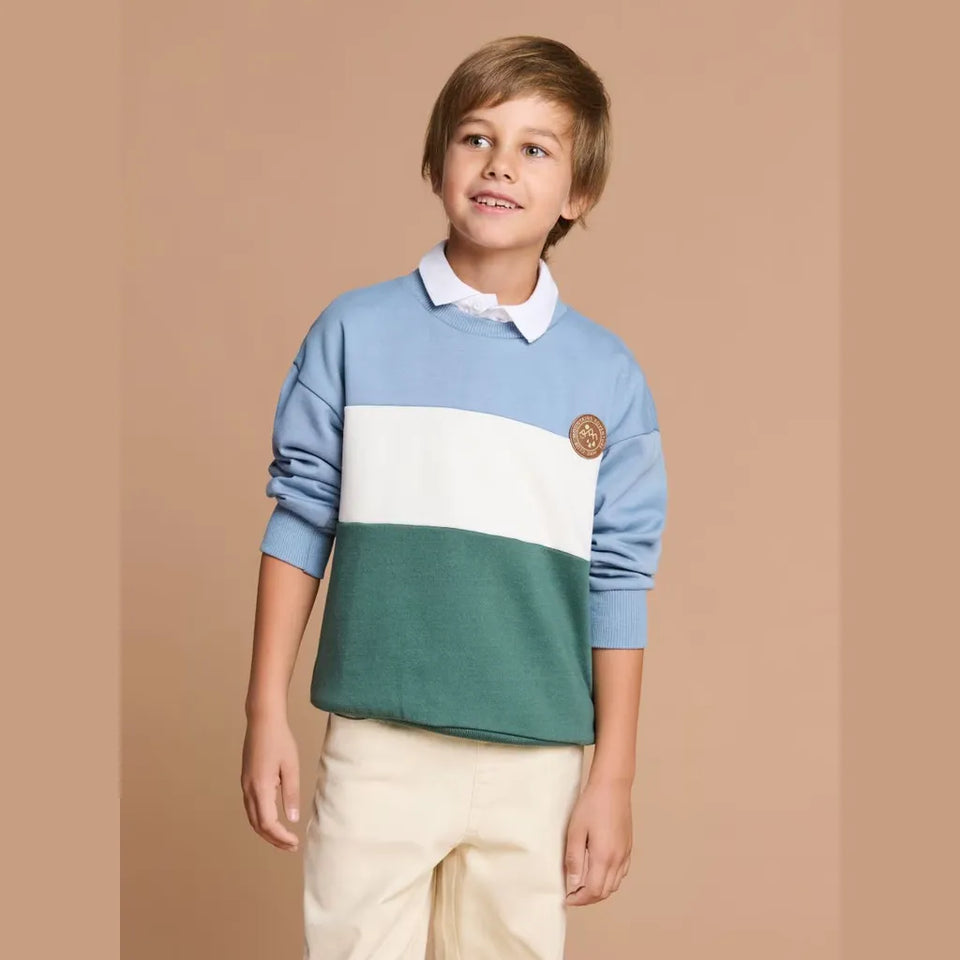 Sinsay Boy's Light Blue Multi Colored Round Neck with Ribbed Cuffs Sweatshirt